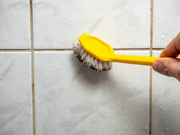 Best Mold Removal Near Me  in Waskom, TX