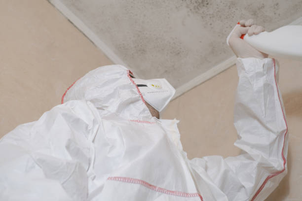 Best Mold Damage Repair  in Waskom, TX