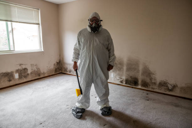 Mold Removal Process in Waskom, TX